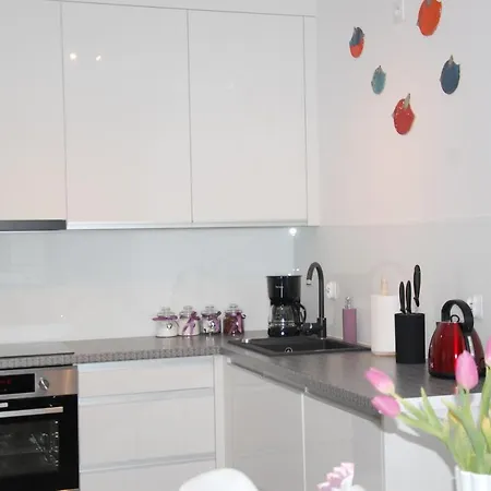 Navigator Apartment *